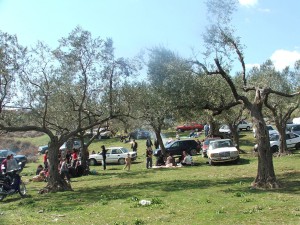 Njerëzit po festojnë Ditën e Verës me një piknik tradicional në kodrat e Krrabës pranë qytetit të Elbasanit | Foto: Vladimir Karaj.